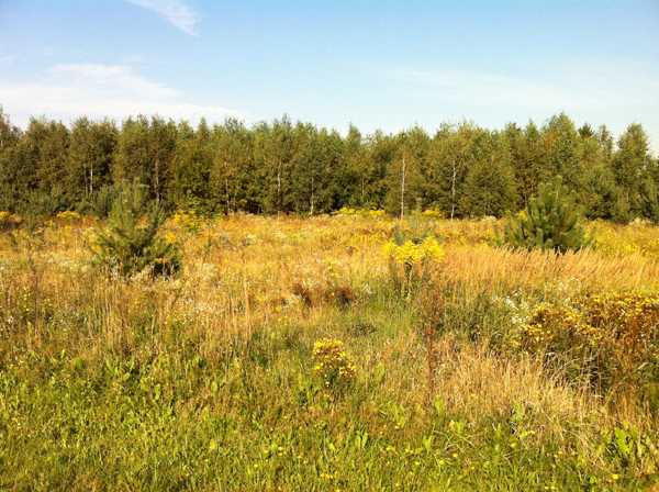 Ziemia Rolna, Działka, Wygnanka 45km Od Warszawy, Piękne Miejsce